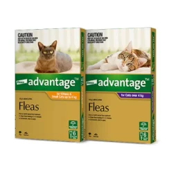 Advantage for Cats