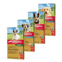 Advantix for Dogs