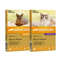 Advocate for Cats