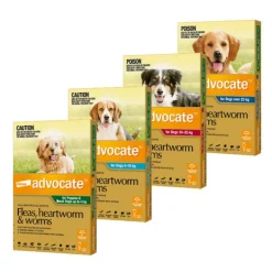 Advocate for Dogs