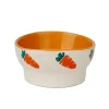 Allpet Pipsqueak Ceramic Ergonomic Feeder Bowl Carrot