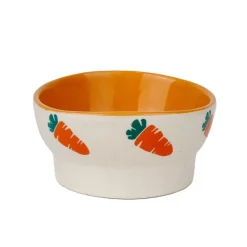 Allpet Pipsqueak Ceramic Ergonomic Feeder Bowl Carrot