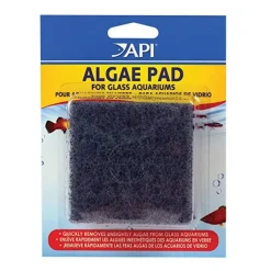 API Algae Pad for Glass