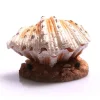 Aqua One Air Operated Clam On Sand Fish Tank Ornament