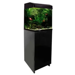 Aqua One AquaStyle 510 75L Curved Glass Aquarium & Cabinet COMBO - CLICK & COLLECT ONLY