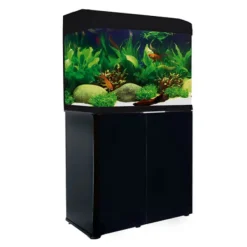 Aqua One AquaStyle 620 90L Curved Glass Aquarium & Cabinet COMBO - CLICK & COLLECT ONLY