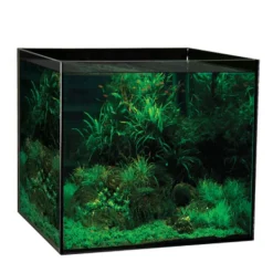 Aqua One AquaSys 155L Glass Fish Tank Aquarium - CLICK & COLLECT ONLY