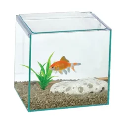Aqua One Betta Cube 16 Glass Aquarium