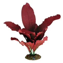 Aqua One Silk Plant Amazon Red