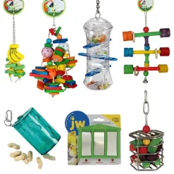 Bird Toy Pack