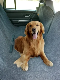 Bono Fido Backseat Hammock Carpet