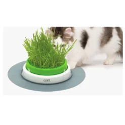Catit Senses 2.0 Grass Planter