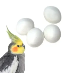 Cockatiel Fake Dummy Eggs 4 Pack