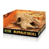 Exo Terra Buffalo Skull / Secure Hiding Place