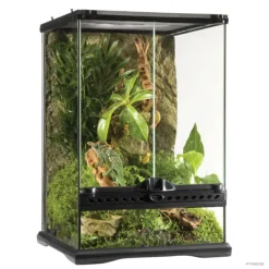 Exo Terra Natural Glass Terrarium Mini Tall - CLICK & COLLECT ONLY
