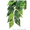 Exo Terra Silk Plant Fiscus