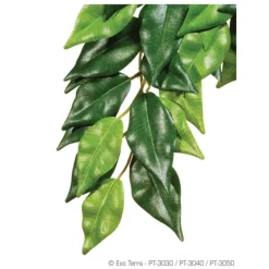 Exo Terra Silk Plant Fiscus