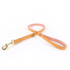 Ezy Dog Oxford Leather Classic Leash Blush