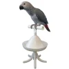 Featherland Paradise The Percher Portable Training Perch