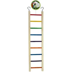 Green Parrot Bird Ladder 50cm