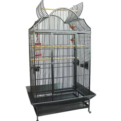 Green Parrot Extra Large Bird Cage with Scallop Open Top PC1027