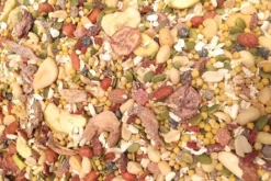 Green Parrot OTropo Mix
