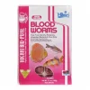 Hikari Bloodworms FROZEN 100g - CLICK & COLLECT ONLY