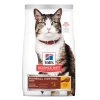 Hills Science Diet Cat Adult Hairball Control
