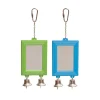 Kazoo Bird Rectangular Mirror with Bell