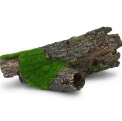 Kazoo Medium Log with Textured Moss Ornament