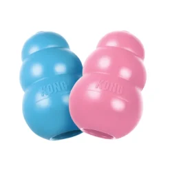 KONG Puppy