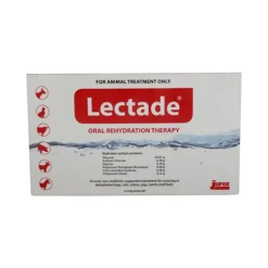 Lectade Duo Satchet Oral Rehydration Therapy 64g 1 Pack