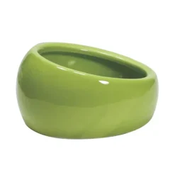 Living World Ergonomic Dish Green