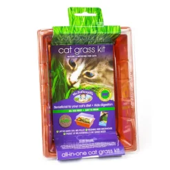 Mr Fothergills Cat Grass Kit