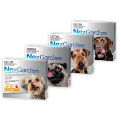 NexGard Chewables for Dogs