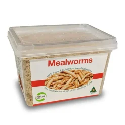 Pisces Mealworms LIVE Regular - CLICK & COLLECT ONLY