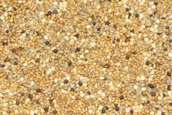 Premium Bird Seed Finch Mix