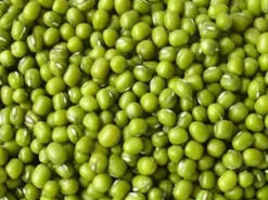 Premium Bird Seed Green Mung Beans 2kg