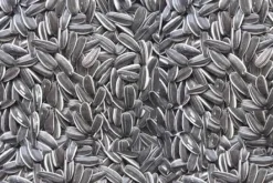 Premium Bird Seed Grey Stripe Sunflower Seed