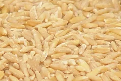 Premium Bird Seed Hulled Oats 3kg