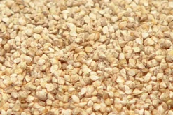 Premium Bird Seed Jap Millet 3kg