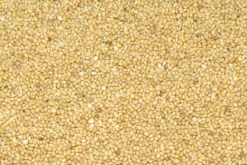 Premium Bird Seed Panicum (Panorama) 3kg