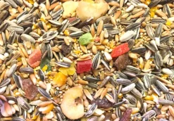 Premium Bird Seed Parrot Fruit & Nut Mix 3kg