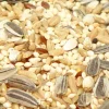 Premium Bird Seed Parrot Mix
