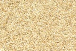 Premium Bird Seed Plain Canary Seed 3kg