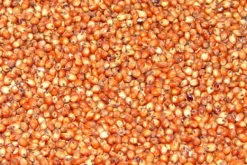 Premium Bird Seed Sorghum Milo 3kg