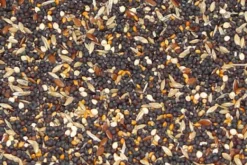 Premium Bird Seed Tonic Mix