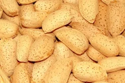 Premium Bird Treats Almonds in Shell