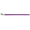 Prestige Cat & Puppy Leash 3/8" x 4' (122cm) Purple