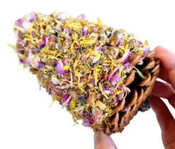 RAW For Birds Floral Pinecone Chews 2pk